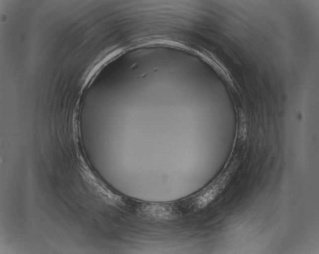 X0000081370806200702020204