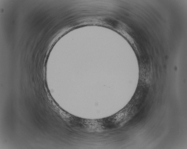 X0000081370807200702020204