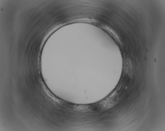 X0000081370808200702020204