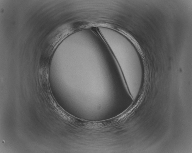 X0000081370809200702020204