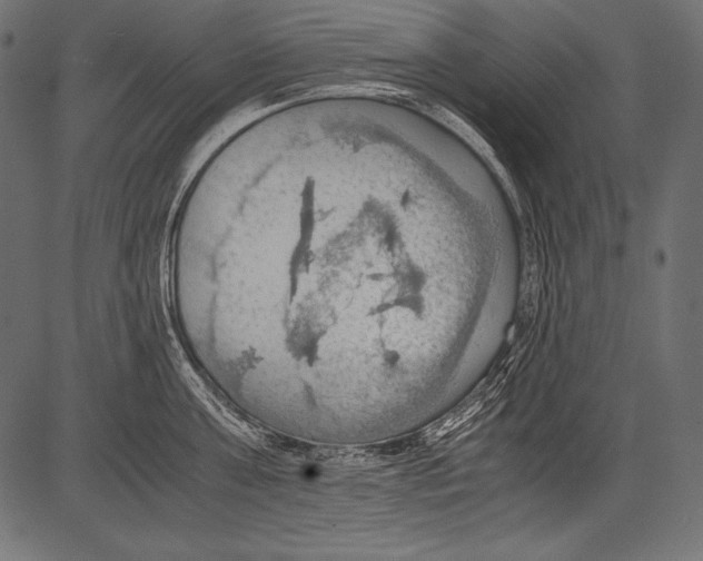 X0000081370811200702020203