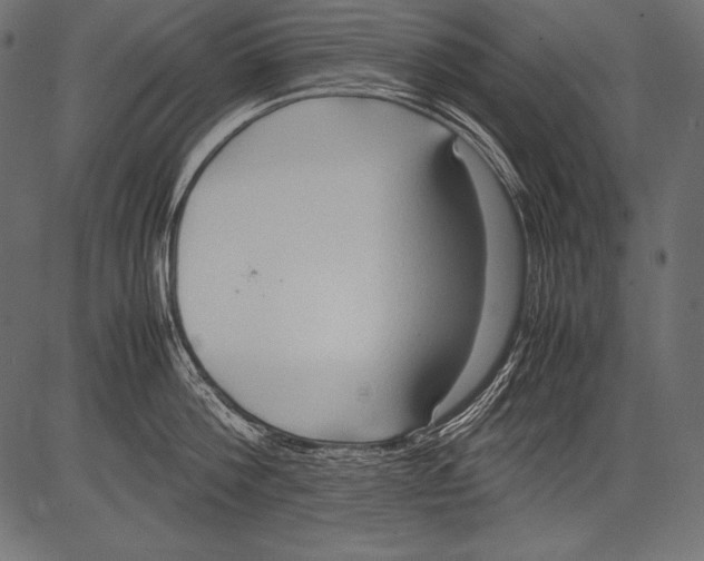 X0000081370812200702020203