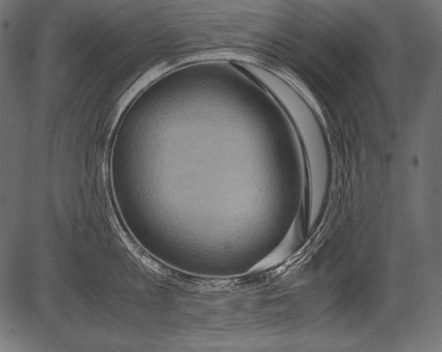 X0000081370813200702020203