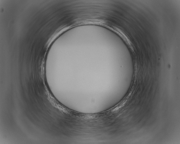 X0000081370814200702020203