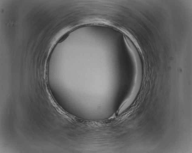 X0000081370815200702020203