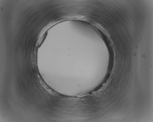 X0000081370816200702020203