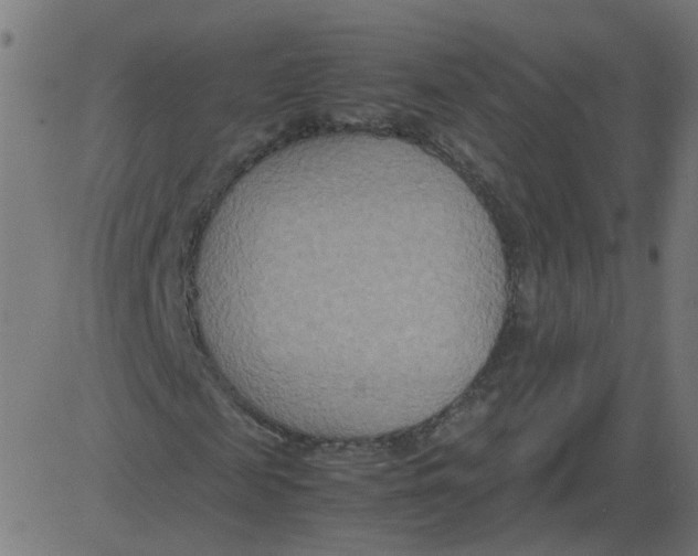 X0000081370817200702020203