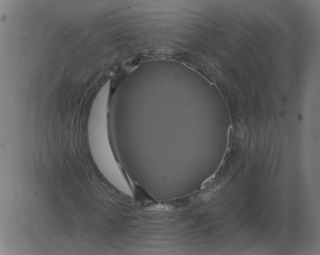 X0000081370818200702020203