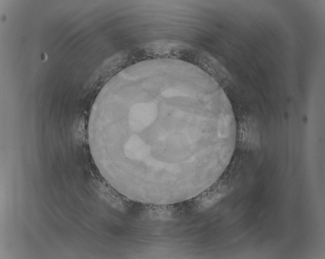 X0000081370820200702020203