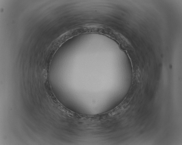 X0000081370821200702020203