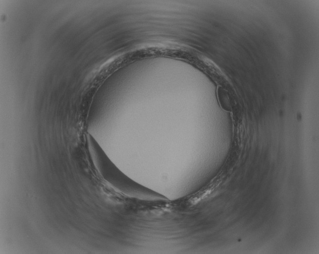 X0000081370822200702020203