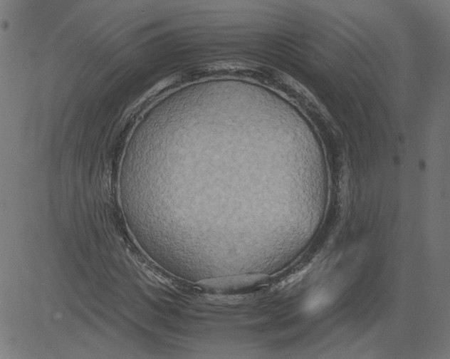 X0000081370825200702020203