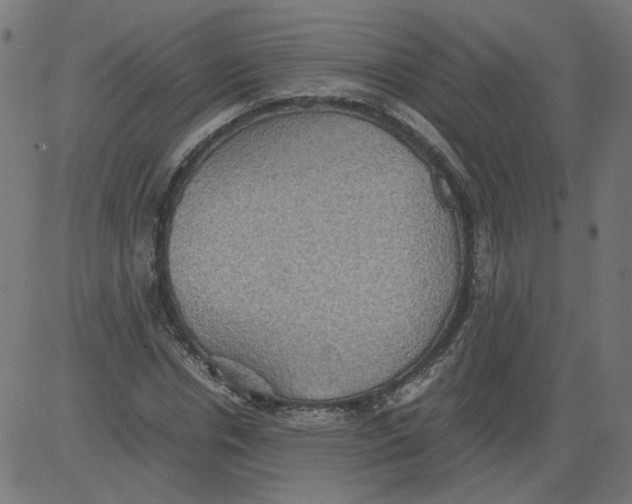 X0000081370826200702020203