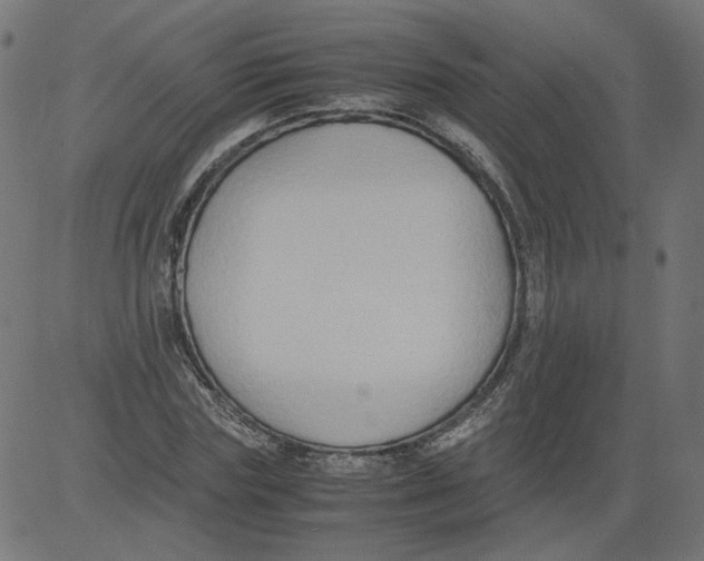 X0000081370827200702020203