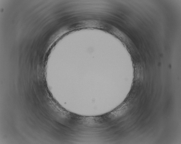 X0000081370828200702020203