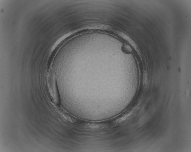 X0000081370829200702020203