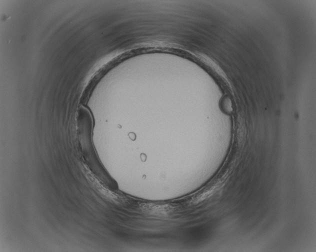 X0000081370831200702020203