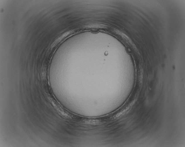 X0000081370833200702020203