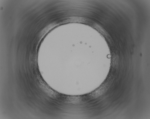 X0000081370836200702020203