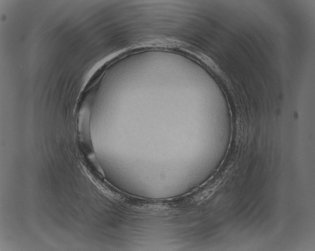 X0000081370838200702020203