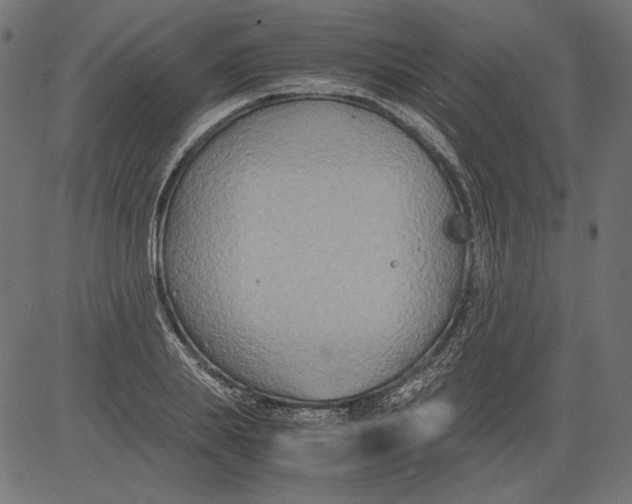 X0000081370839200702020203