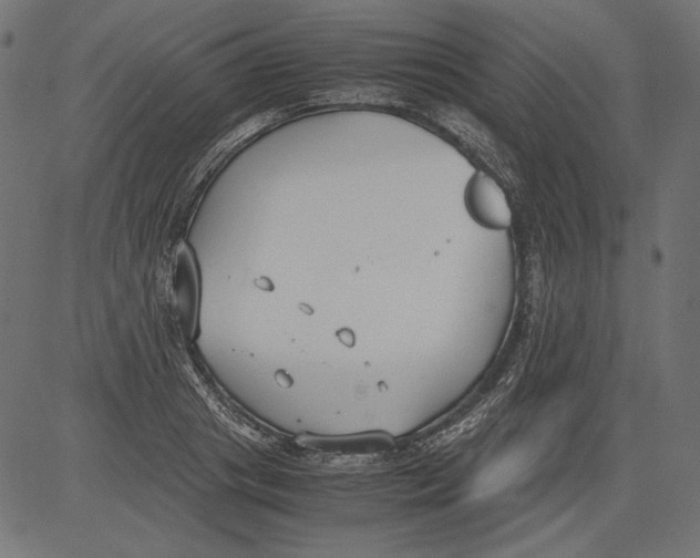 X0000081370841200702020203