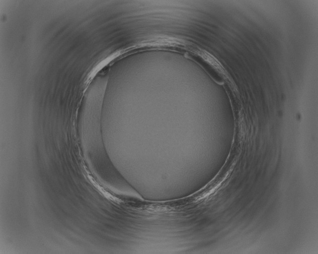 X0000081370842200702020203