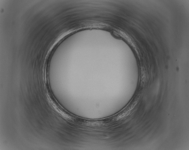 X0000081370843200702020203