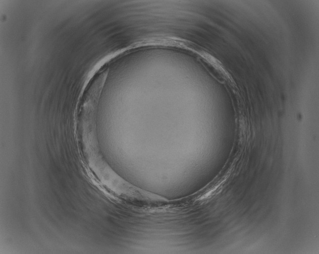 X0000081370846200702020203