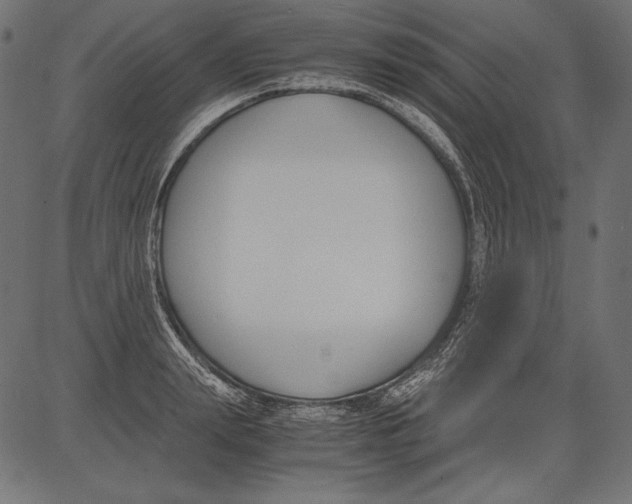 X0000081370847200702020203