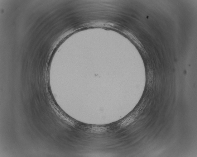 X0000081370848200702020203