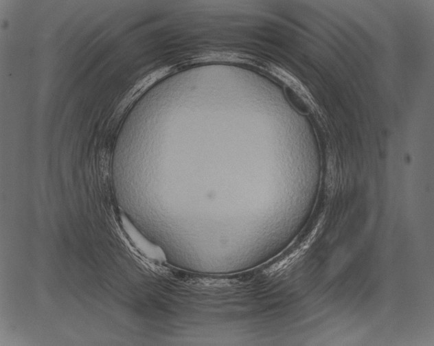 X0000081370849200702020203