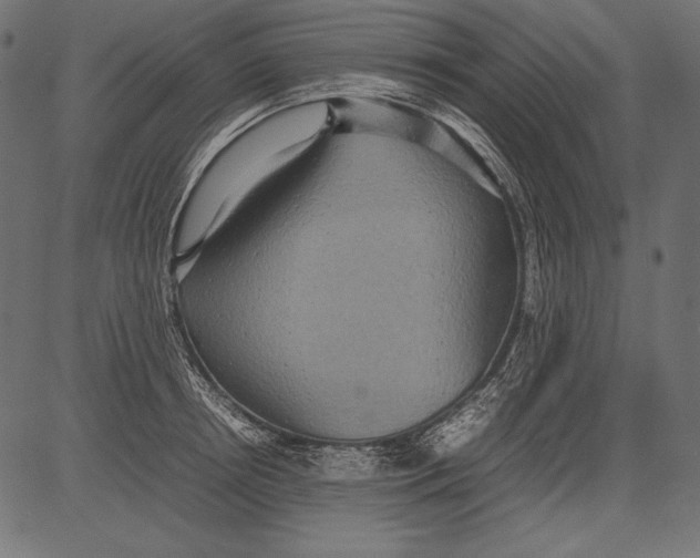 X0000081370850200702020203