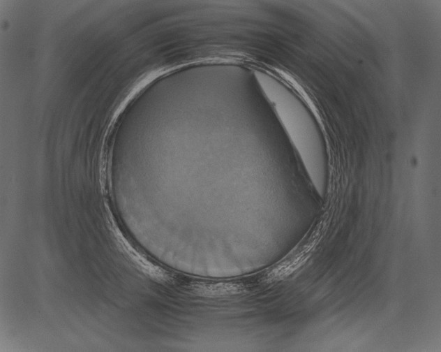 X0000081370851200702020203