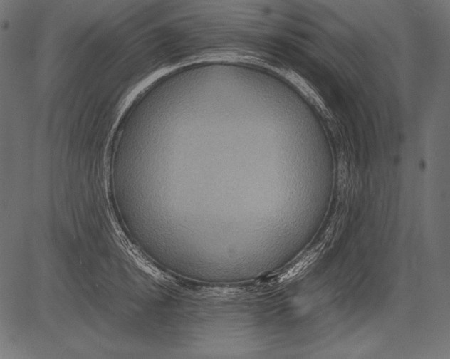 X0000081370854200702020203