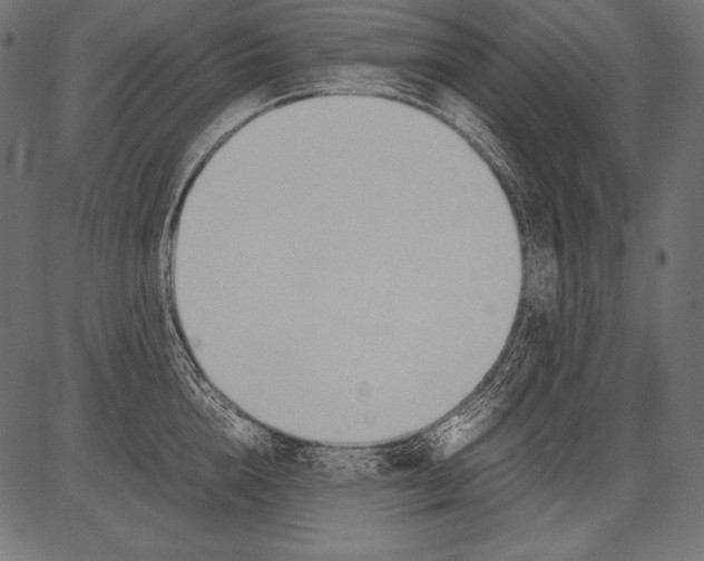 X0000081370856200702020203