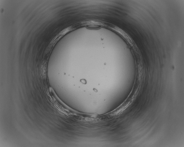 X0000081370857200702020203