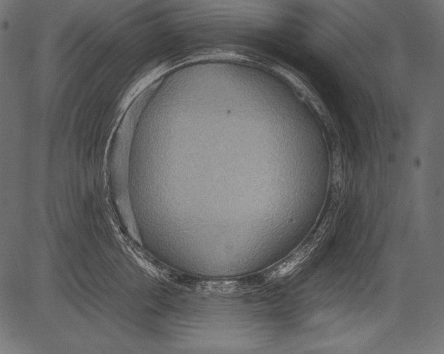 X0000081370858200702020203