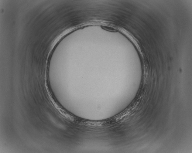 X0000081370861200702020203