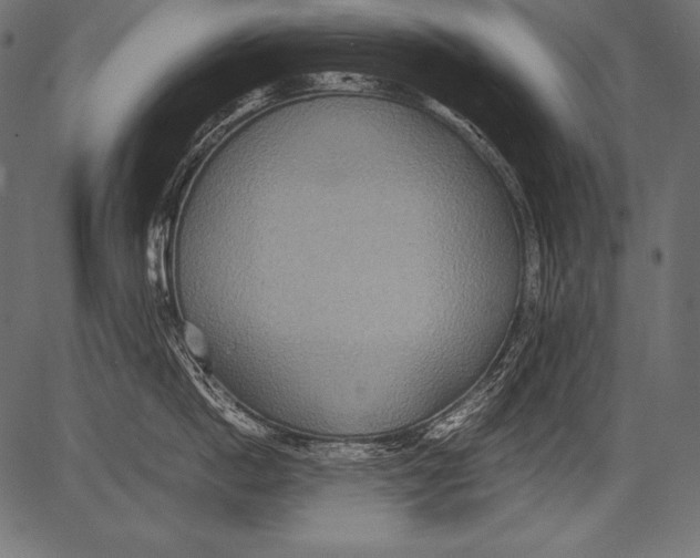 X0000081370862200702020203