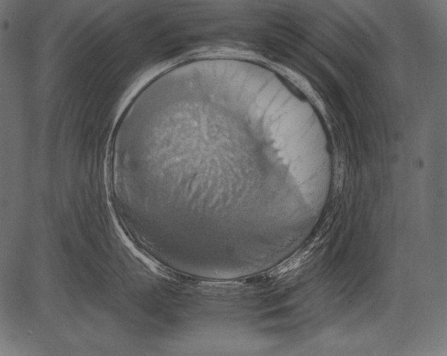 X0000081370863200702020203