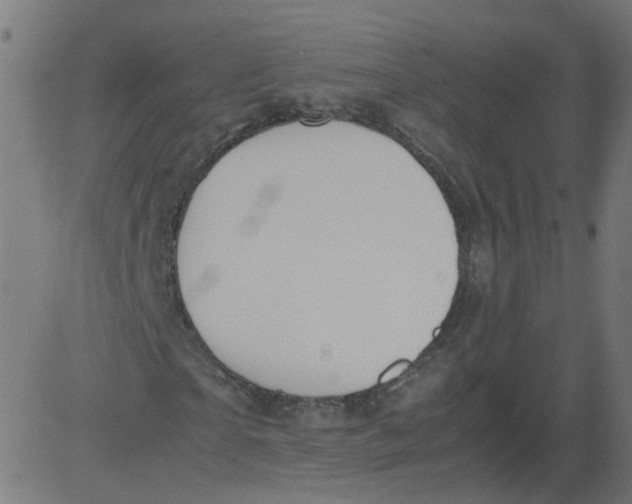 X0000081370865200702020203