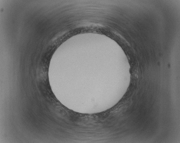 X0000081370869200702020203