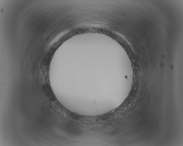 X0000081370871200702020203