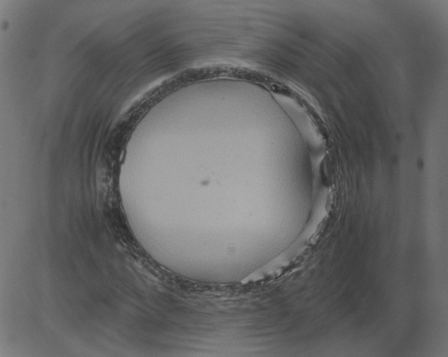 X0000081370872200702020202