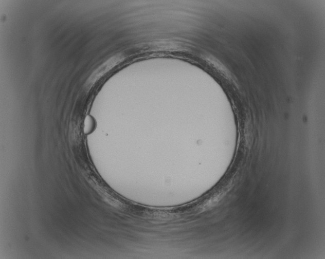 X0000081370873200702020202