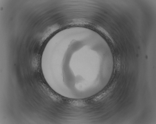 X0000081370874200702020202