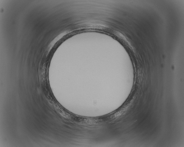 X0000081370875200702020202