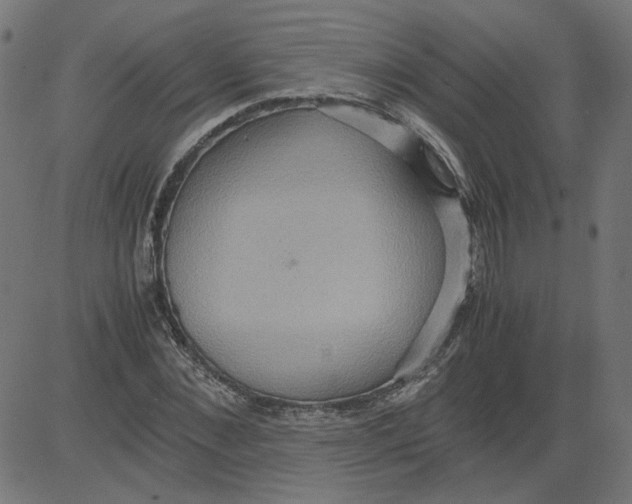 X0000081370876200702020202