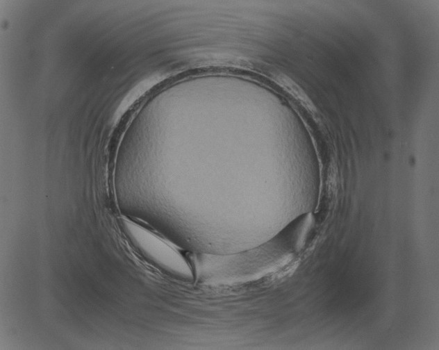 X0000081370877200702020202